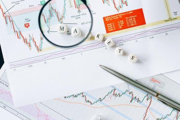 FAQ for the translation service