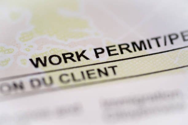 Why Choose World Dictionary for Work Permit Translation?